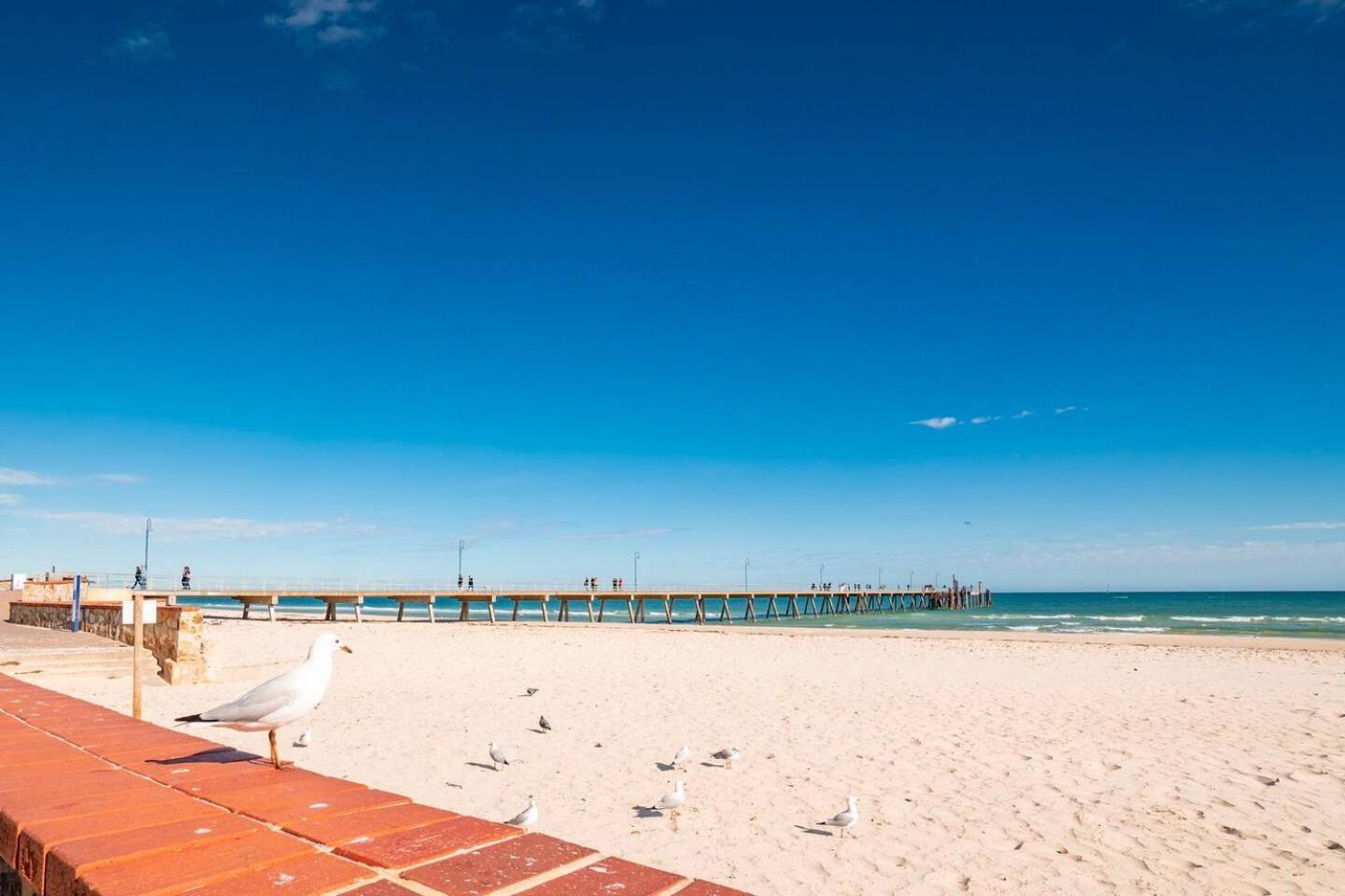 "Ocean Sunset" Glenelg Central Studios Dış mekan fotoğraf